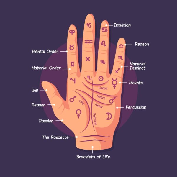Palmistry Premium Package