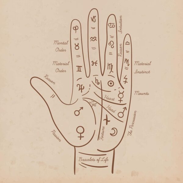 Palmistry Basic Package